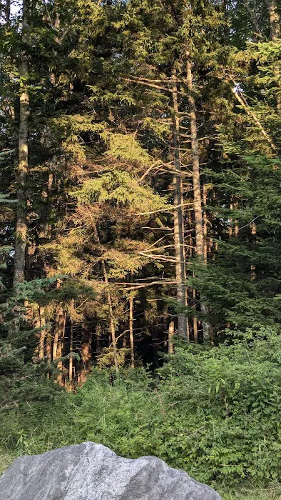 Deer Creek Cabin in Sprucewold Picture 1