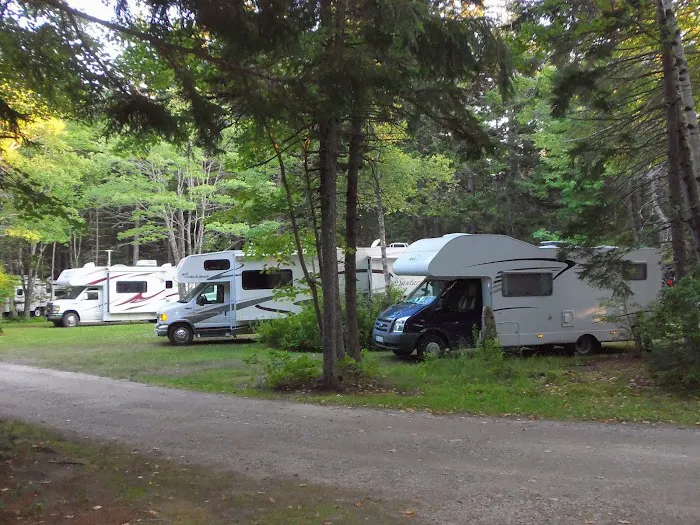 Sherwood Forest Campsite Picture 6