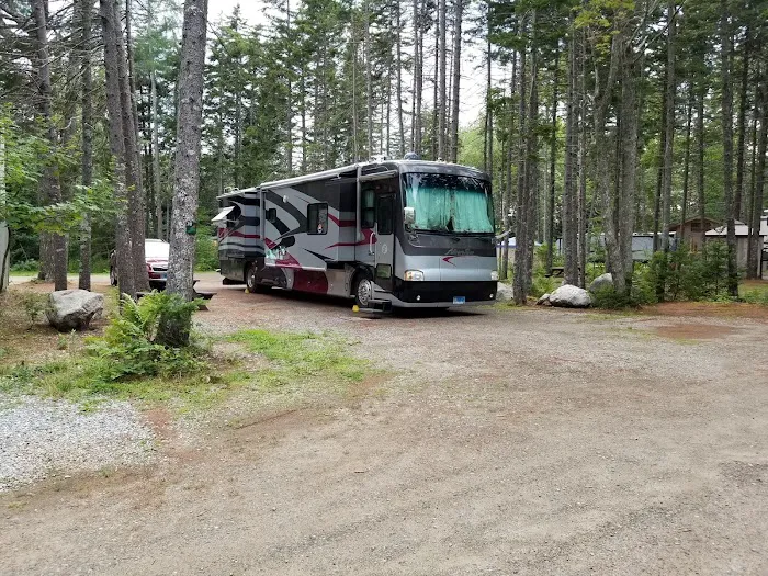 Sherwood Forest Campsite Picture 10