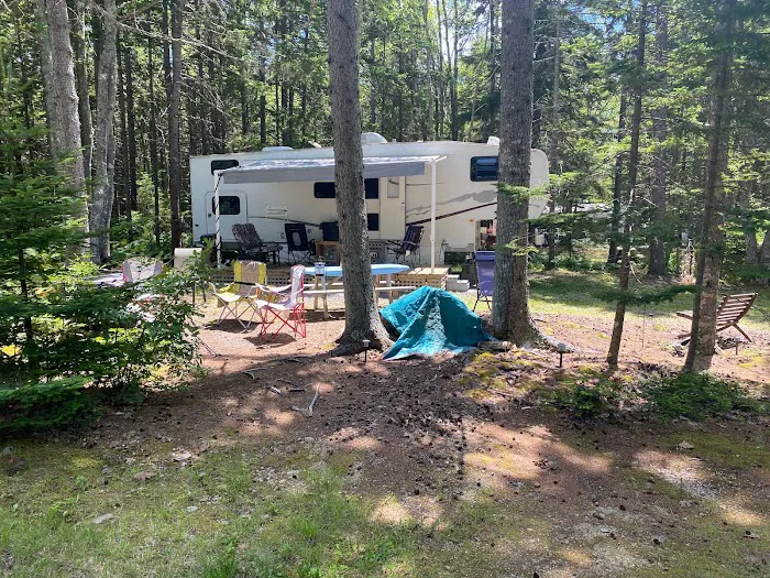 Sherwood Forest Campsite Picture 1