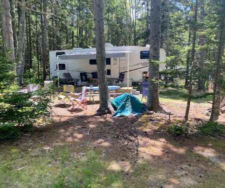 Sherwood Forest Campsite