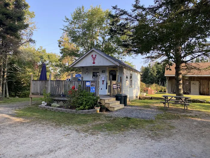 Pemaquid Point Campground Picture 4