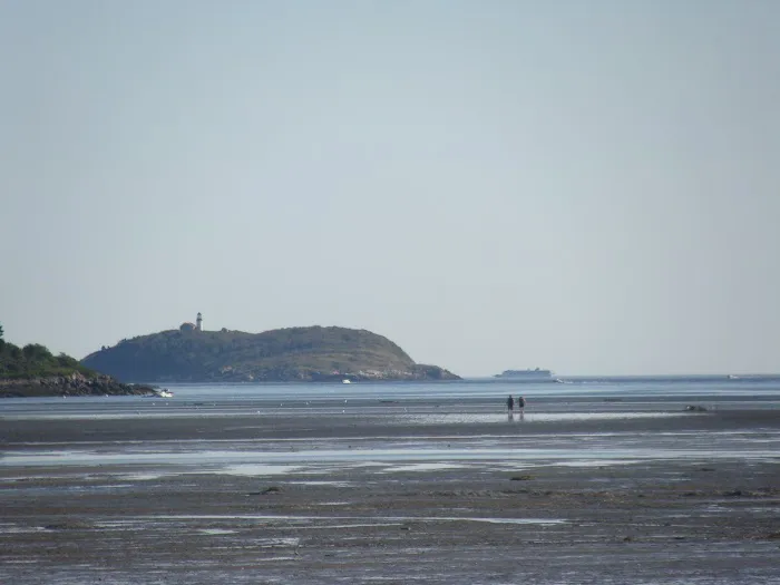 Sagadahoc Bay Campground Picture 8
