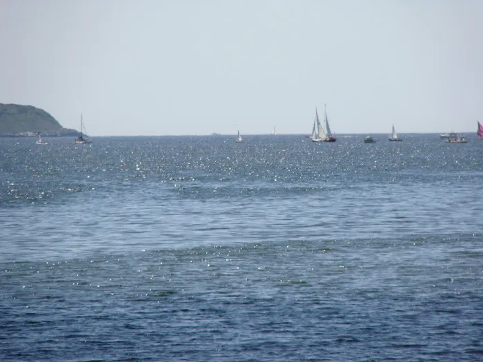 Sagadahoc Bay Campground Picture 9