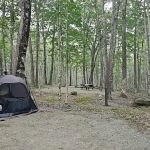 Camden Hills State Park Campground