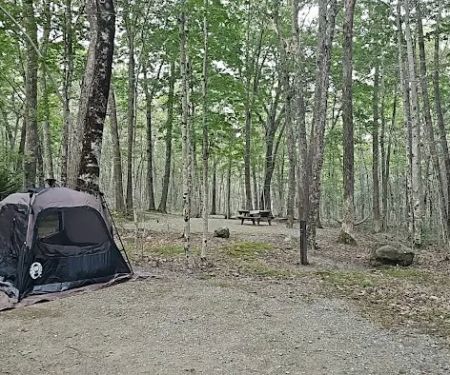 Camden Hills State Park Campground