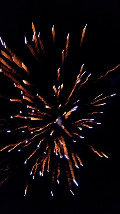 Northport Campground Picture 5