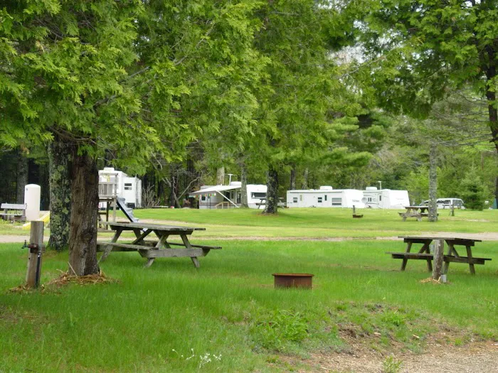Northport Campground Picture 8