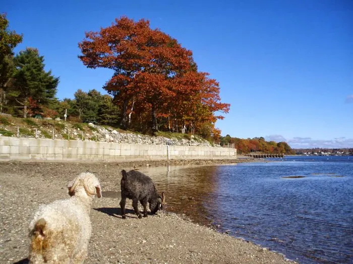 Searsport Shores Ocean Campground Picture 4