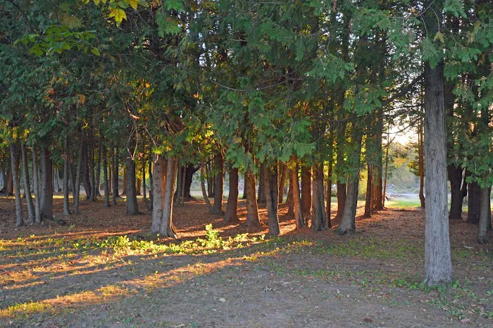 Pumpkin Patch RV Resort Picture 2