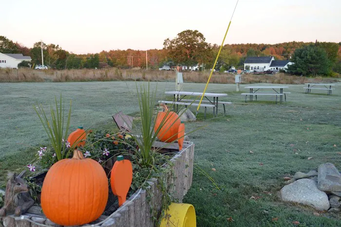 Pumpkin Patch RV Resort Picture 4