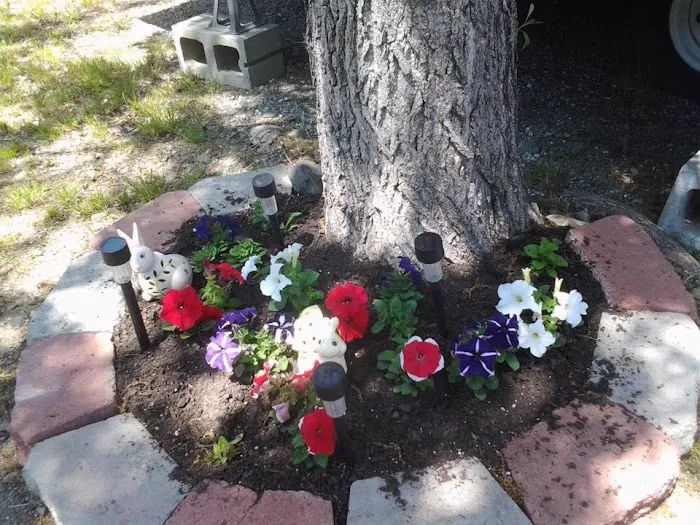 Bucksport / Fort Knox KOA Holiday Picture 6