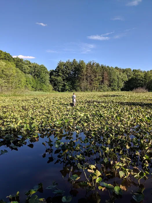 Hidden Valley Camp Ground Picture 10