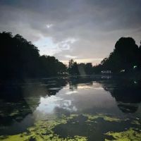 Whispering Pines Campground ico