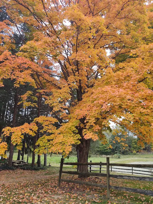 Whispering Pines Campground Picture 10