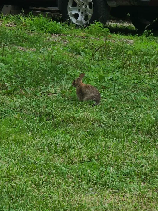 Friendship Acres Campground Picture 5