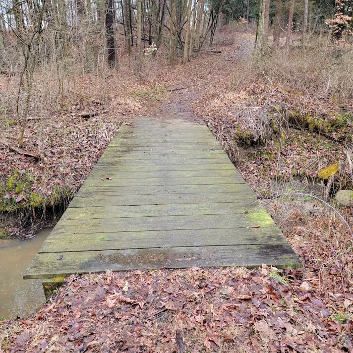 BSA Camp Rodman Picture 3