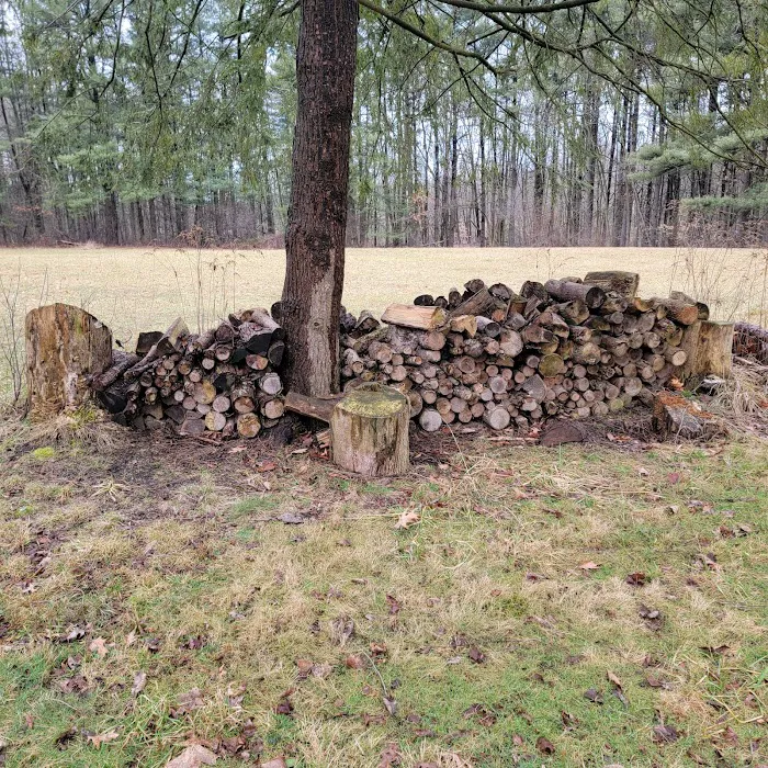 BSA Camp Rodman Picture 9