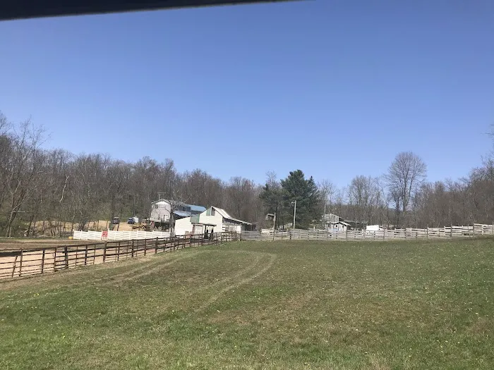 Camp Avery Picture 1