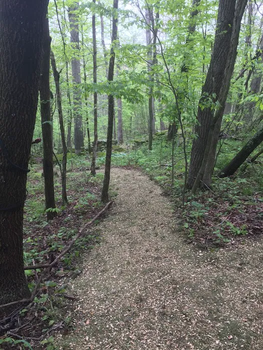 Camp Avery Picture 3