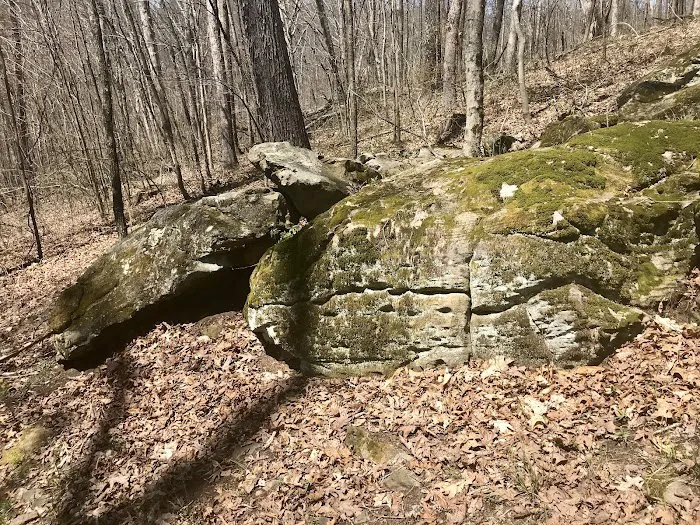 Camp Avery Picture 4