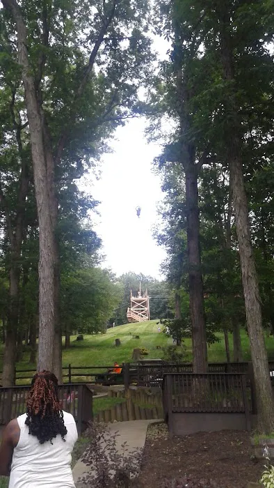 Wood's Tall Timber Resort Picture 4