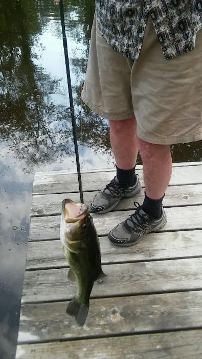 Cool Breeze RV Camp Picture 1