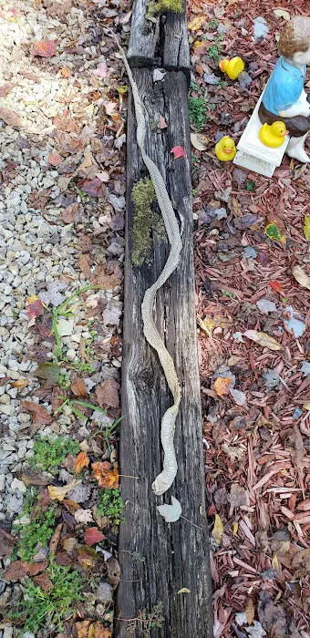 Pikes Peak Of Ohio Picture 9