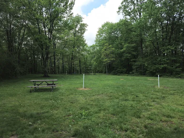 Salt Fork State Park Group Campground Picture 8