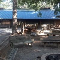 Camp Tuscazoar Foundation Inc ico