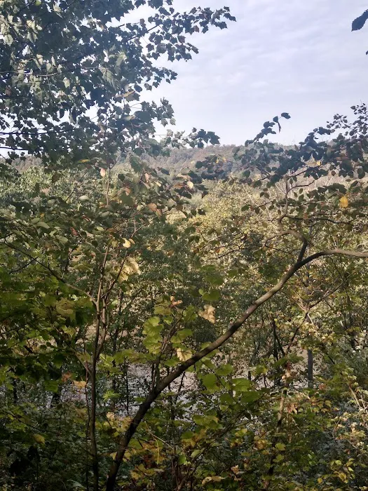 Camp Tuscazoar Foundation Inc Picture 3