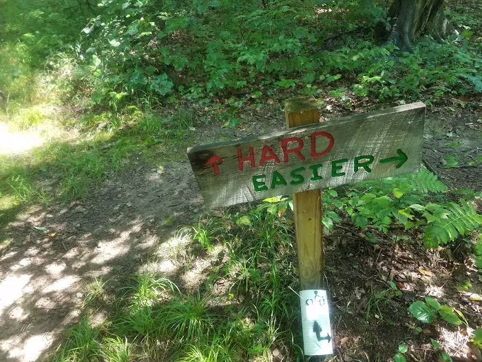 Camp Tuscazoar Foundation Inc Picture 2