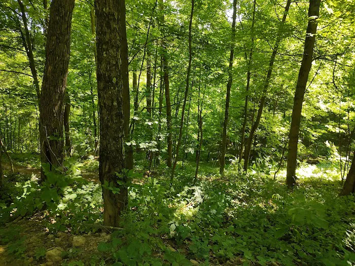 Camp Tuscazoar Foundation Inc Picture 8