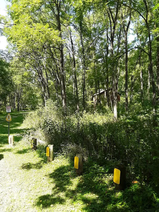 Ring Mill Campground Picture 3