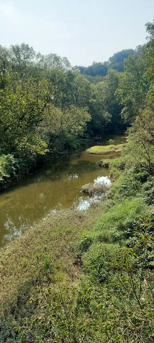 Ring Mill Campground Picture 4
