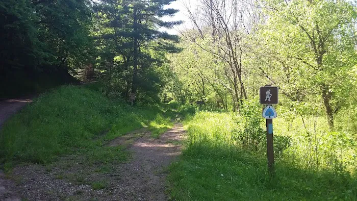 Ring Mill Campground Picture 6