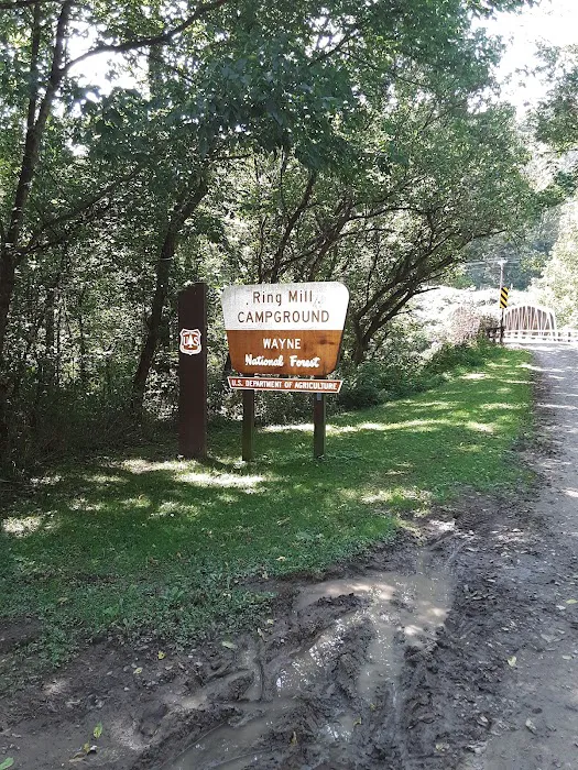 Ring Mill Campground Picture 2