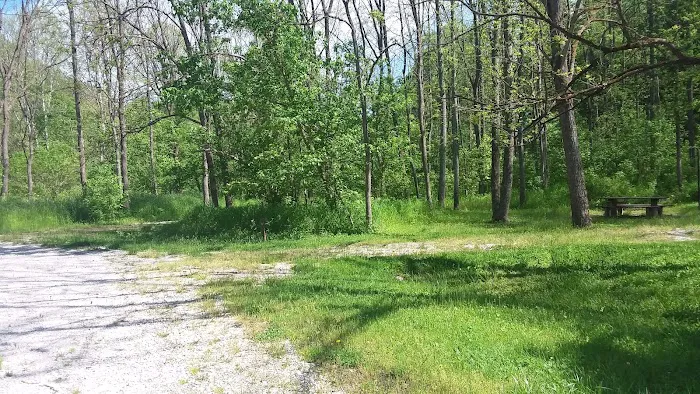 Ring Mill Campground Picture 10