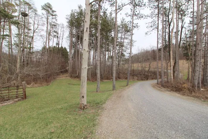 Sparkman Lake Picture 7