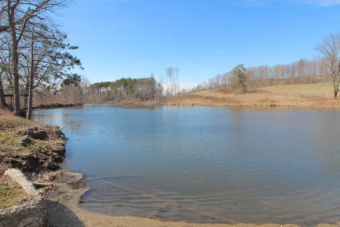 Sparkman Lake Picture 4