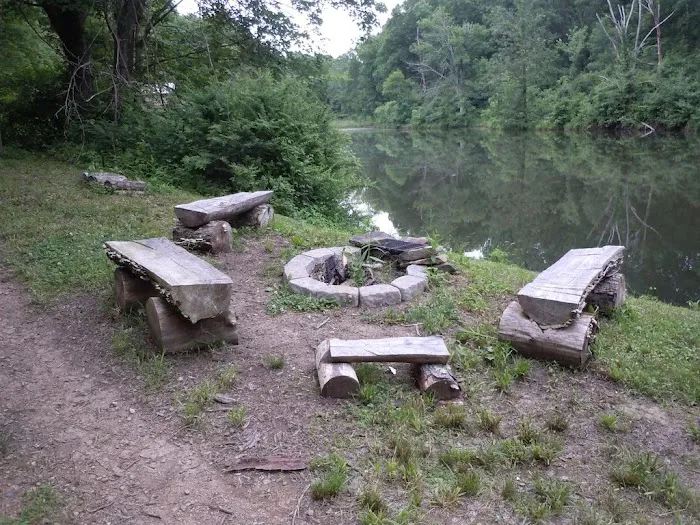 Dragonfly Lake / The Beaver Lodge / The Pine Treehouse Picture 6