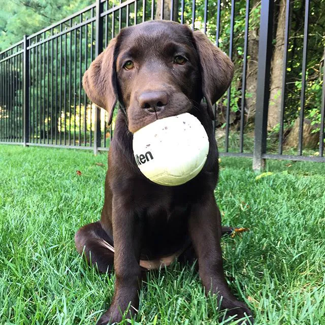 Lake Seneca Resorts Picture 2