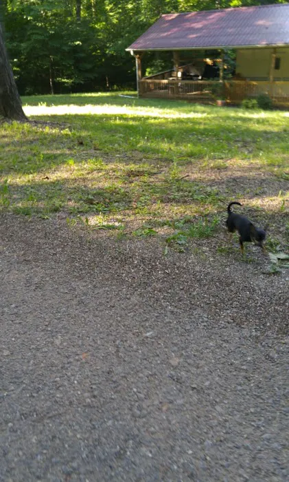 Lake Seneca Resorts Picture 1