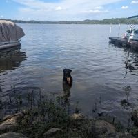 Parkside Campground ico