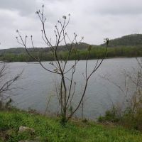 Socks Campground LLC ico