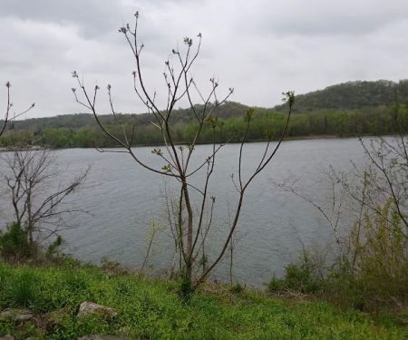 Socks Campground LLC