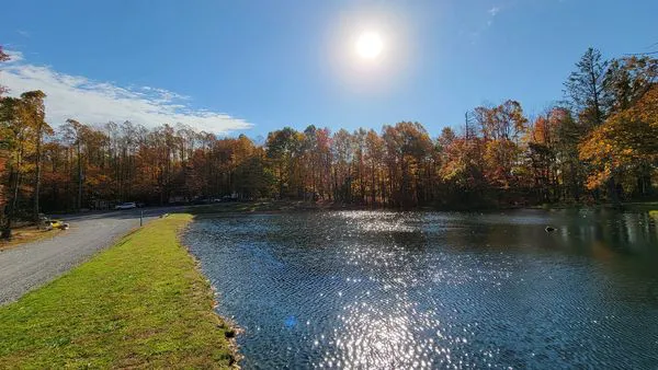 Kick Back N Camp Picture 3