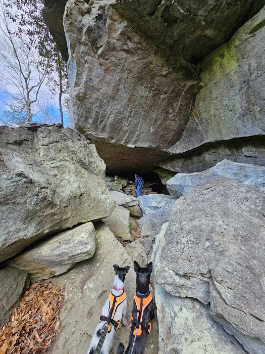 Audra State Park Campground Picture 5