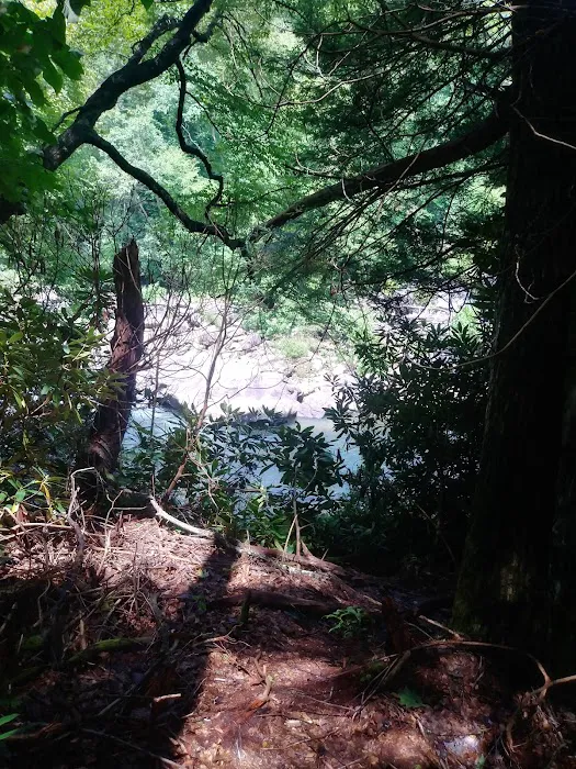 Audra State Park Campground Picture 4