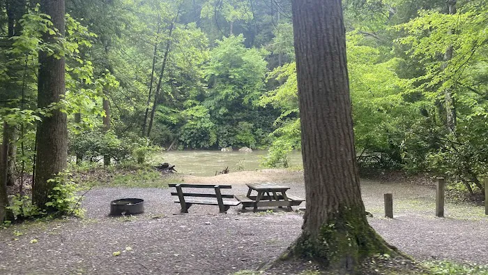 Audra State Park Campground Picture 3